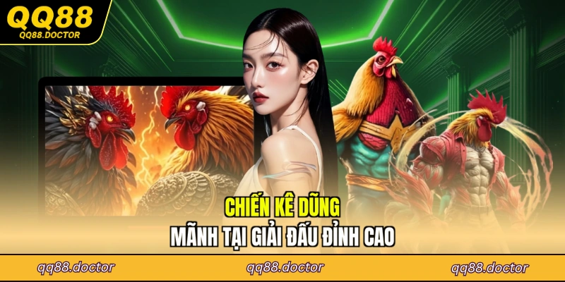 Chiến kê dũng mãnh tại giải đấu đỉnh cao