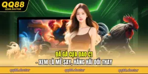 Đá Gà Cựa Dao C1 - Xem Là Mê Say, Hăng Hái Đổi Thay